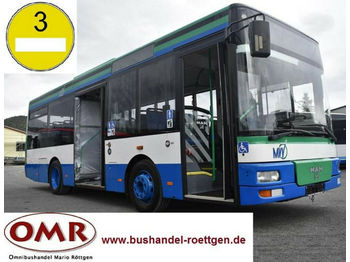 Городской автобус MAN A 76 / A 47 / A 66 / O 530 / Midi: фото 1