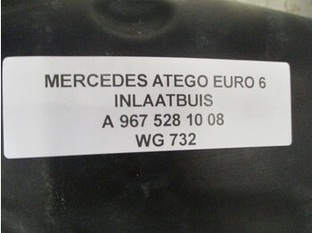 Система впуска для Грузовиков Mercedes-Benz ATEGO A 967 528 10 08 INLAATBUIS EURO 6: фото 2